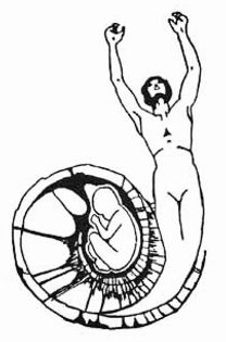 Centro Bioyoga Terapias Rebirthing La Plata - 