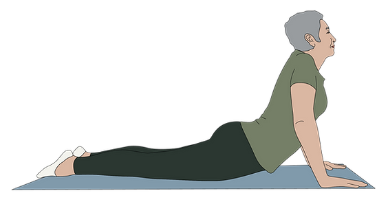 BMWHRC_Illustration-04.png