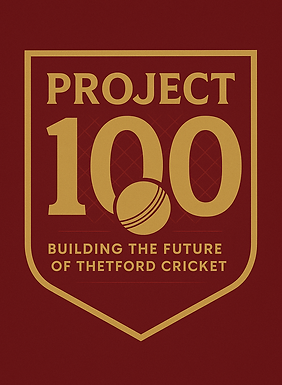 project 100 logo