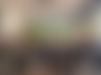 LAS PRE CAMPANADAS DEL CAE