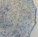 Innocent Blue02