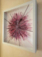 Pink Starburst01