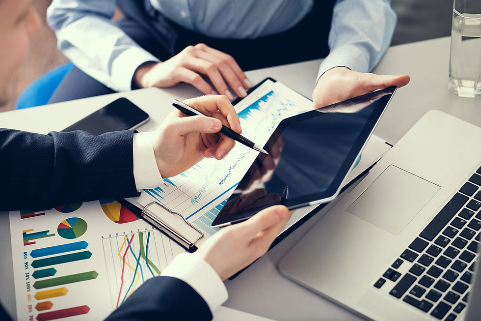 Litigation Finance Advisory Services