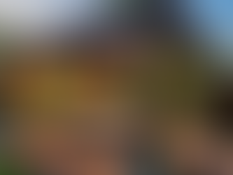 When Does Pergola Installation Change How an Outdoor Pergola Is Used