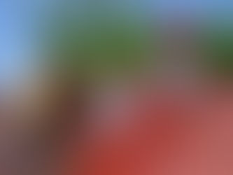 professional roof cleaning services