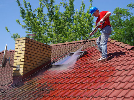 professional roof cleaning services