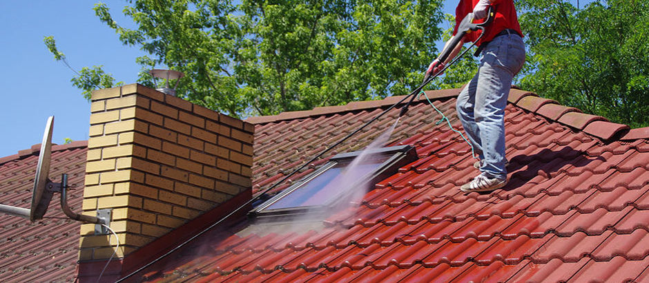 professional roof cleaning services 