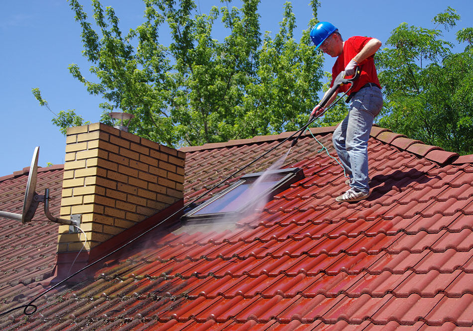 professional roof cleaning services