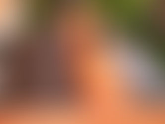 Roof Pressure Washing Services