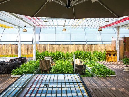 custom pergola cost Georgia