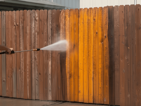 Fence Cleaning in Houston