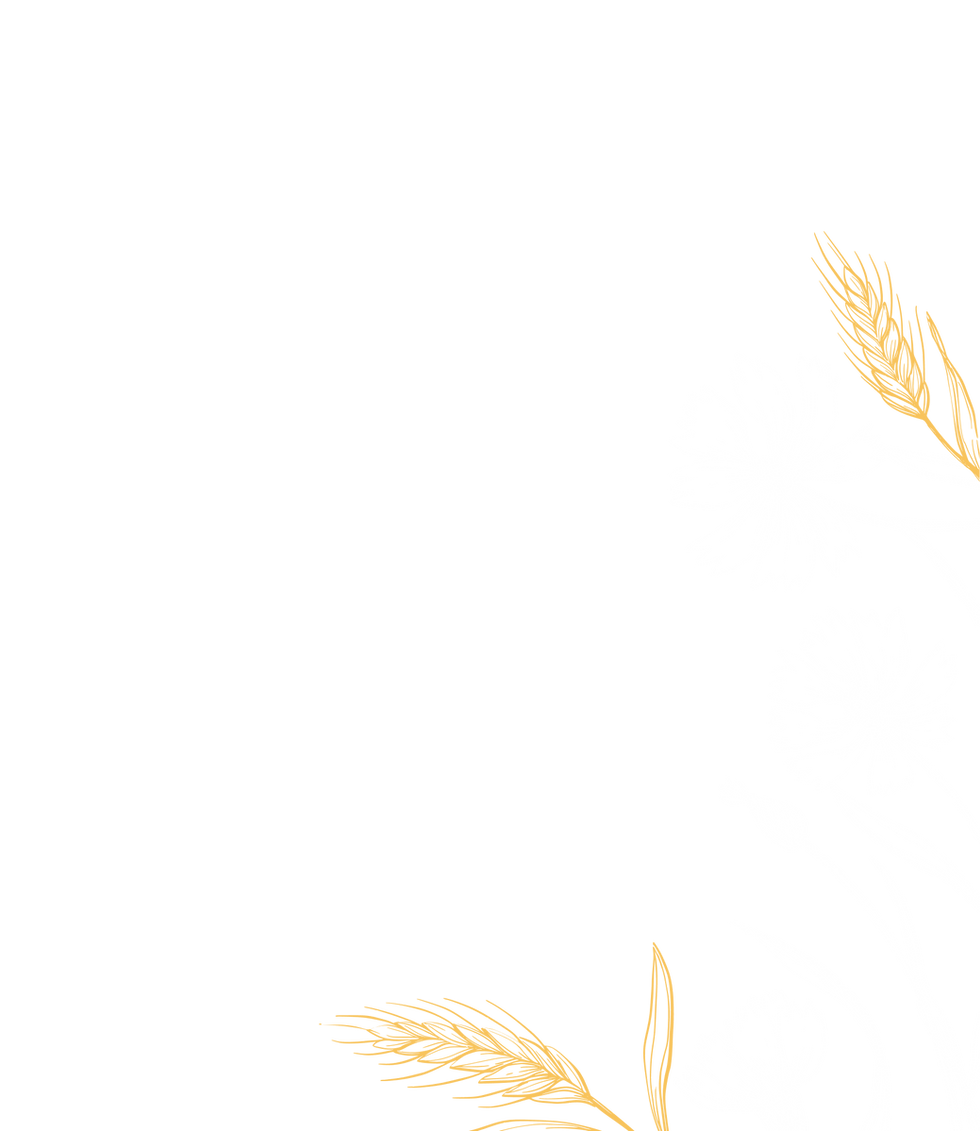 вцс.png