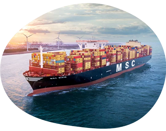 MSC20003552.png.webp