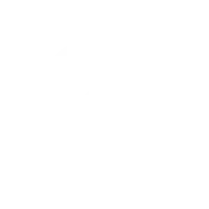 Dell_Logosvg.webp