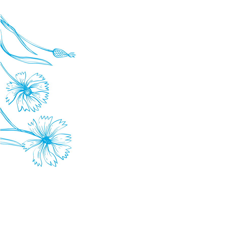 мвц.png