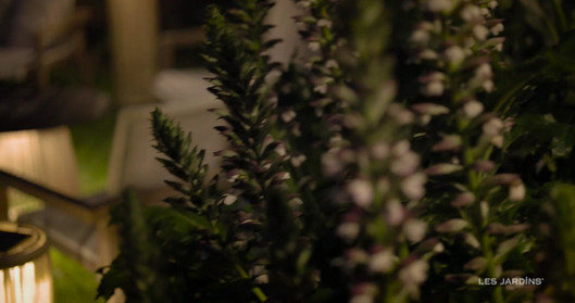 video lumières solaires les jardins