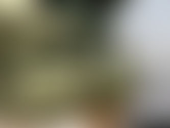 Gros plan sur un fauteuil outdoor en corde tressée vert olive avec coussin texturé, illustrant le matériau avant entretien printanier.