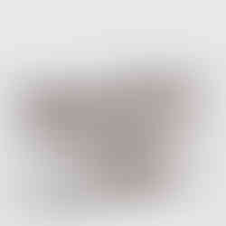 Shotō ESSENTIAL avec Grill au gaz