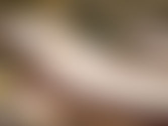 Bain de soleil MEL Musola avec structure terracotta, matelas écru et coussin de tête au bord d’une piscine