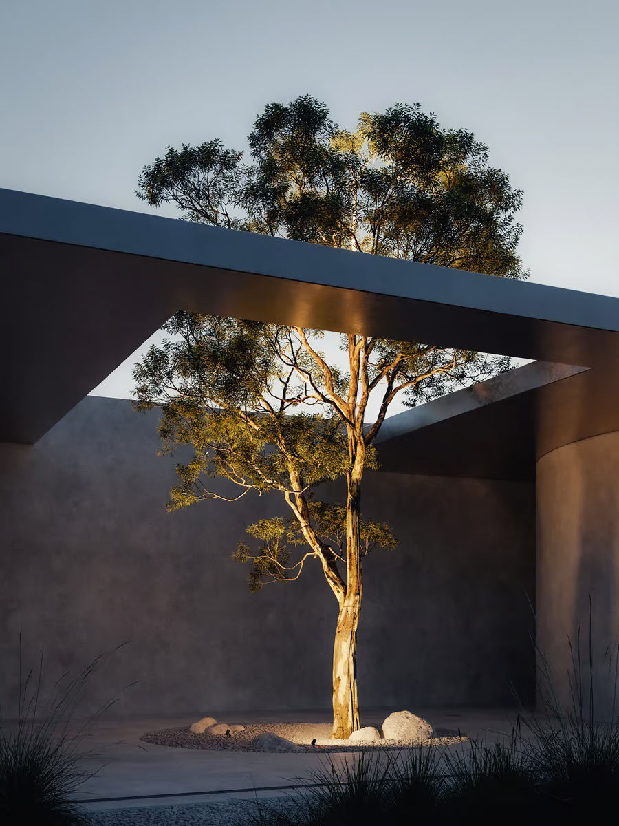 Cour minimaliste avec arbre mis en valeur par des projecteurs encastrés Lodes Focus à faisceau étroit, créant un halo chaud qui souligne l’écorce et la ramure sous l’ouverture de toit.