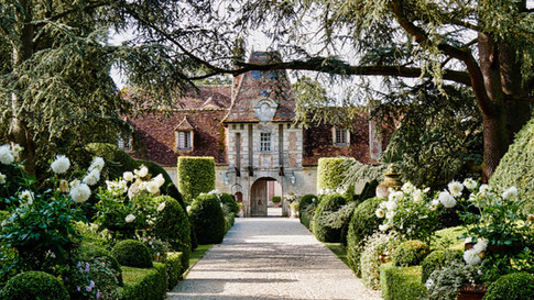 allee des cedres vers le chateau 2_2500.jpeg