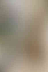 intérieur pavillon WAHO : desk bois, fauteuil cuir cognac, bibliothèque minimaliste et toiture brise-soleil avec vue palmiers