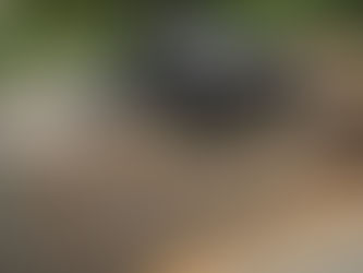 Barbecue à pellets Traeger Timberline intégré dans une cuisine extérieure moderne avec rangements, plan de travail et éclairage intégré.