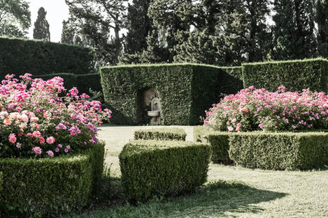 Vibrant rose bushes in full bloom in the themed gardens at Mas de Campe. The greenery and well-trimmed hedges provide a picturesque backdrop for the 15x4 meter heated and salted pool