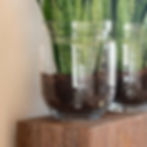 Vase Gommaire BLOW en verre transparent, utilisé en cache-pot avec une sansevieria, posé sur un piédestal en bois brut.