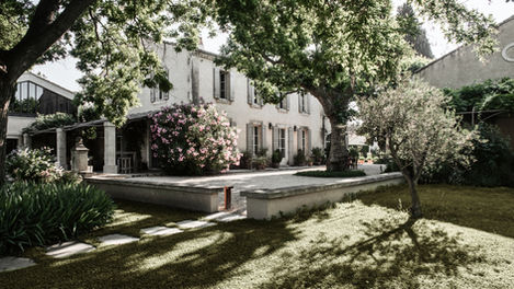 A beautiful courtyard with lush greenery and potted plants, bathed in golden sunlight, showcasing the tranquil and inviting atmosphere of Mas de Campe