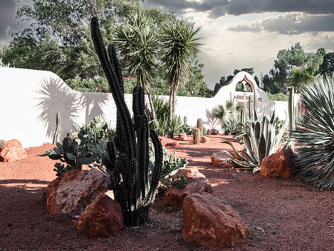 Close-up of a tall cactus and surrounding plants within the garden. The diverse plant life and well-maintained pathways create an immersive experience