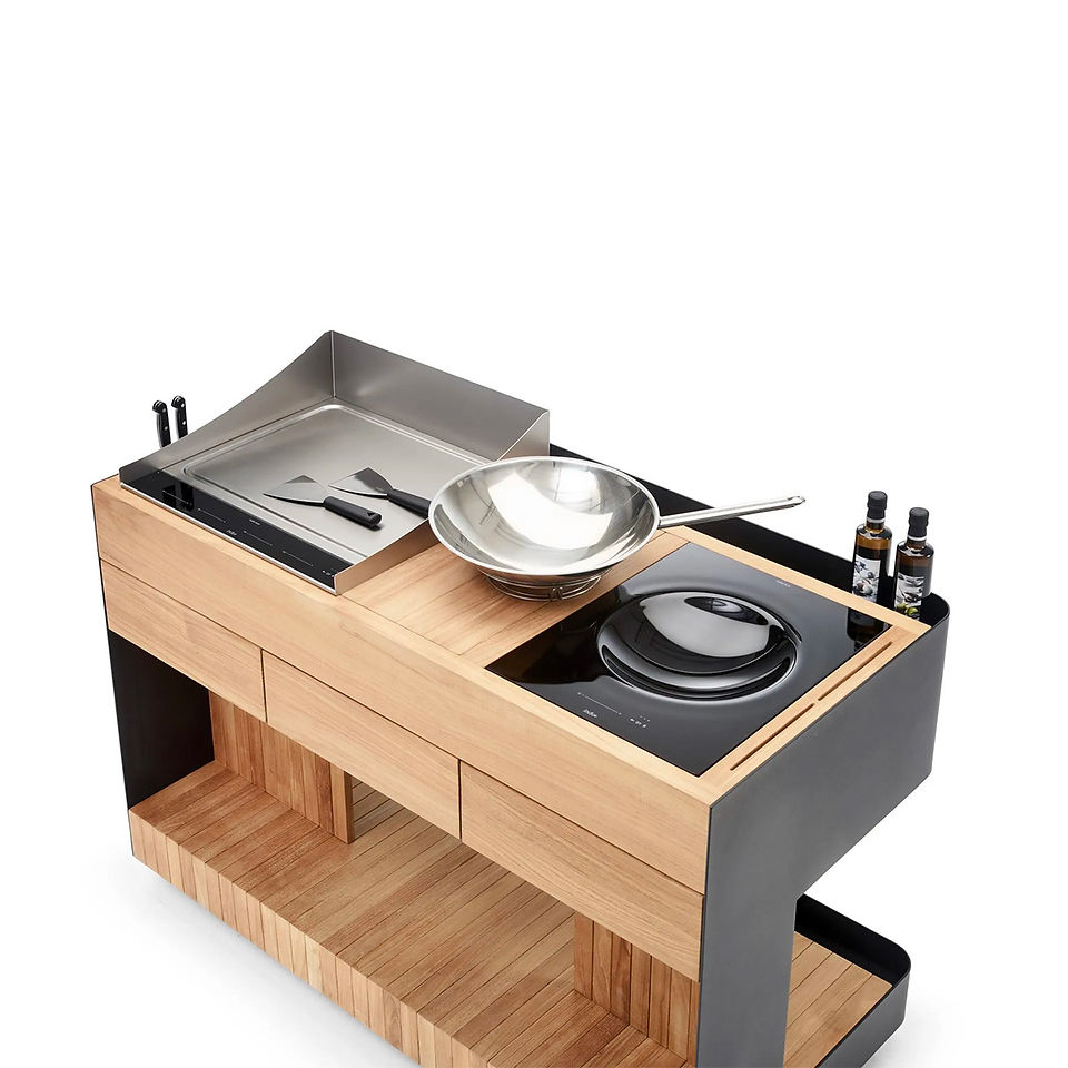 cuisine extérieure modulable 3 modules Indu+ BILBA teppanyaki wok induction
