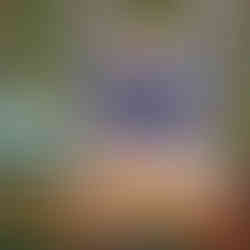 garniture pizza kamado