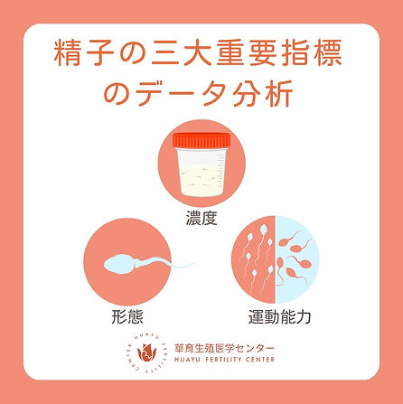 精液の三大重要指標のデータ分析.jpg