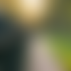 Durable Fencing Everlong