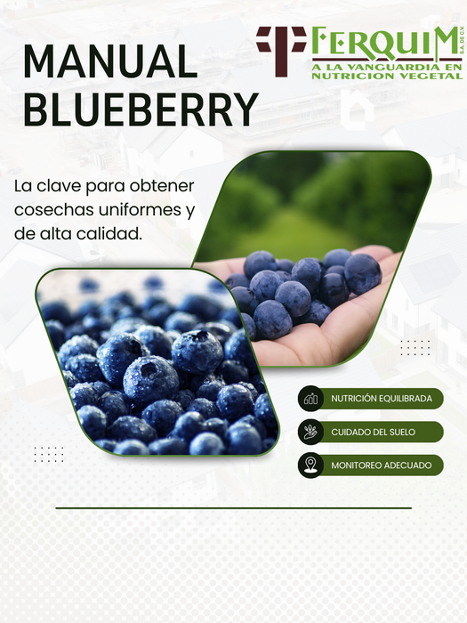 Manual Cultivo FERQUIM 2025 blueberry arándano