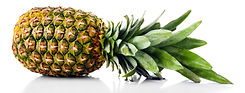 PIÑA FERQUIM
