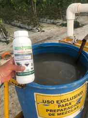 NATURA CACCIATORE FERQUIM INSECTICIDA ORGÁNICO 2025 CONTRA TRIPS