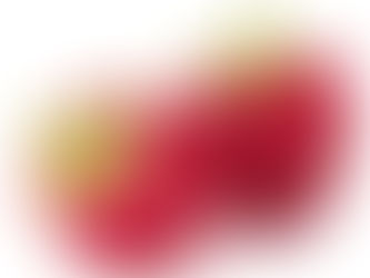 Cultivo de frambuesa en Jalisco: cuidados clave y plan de nutrición por etapas