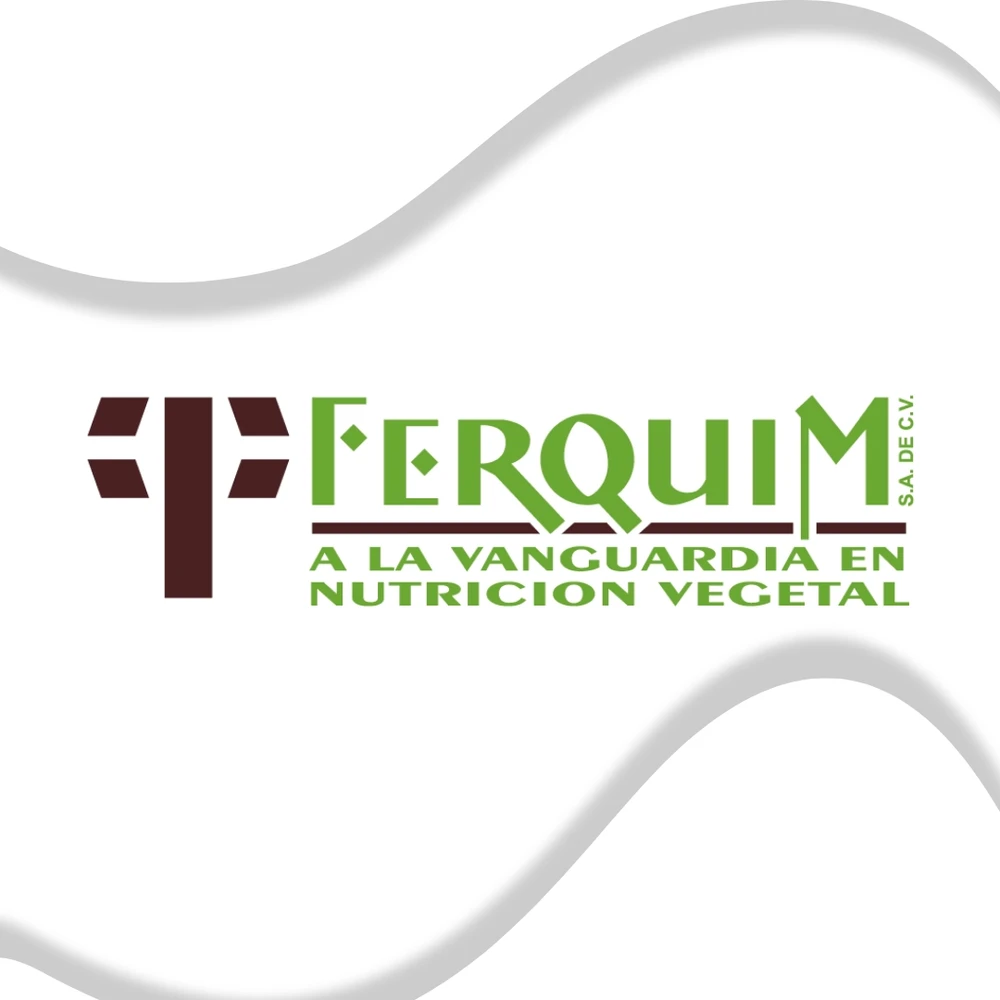 Foto del escritor: Equipo Ferquim