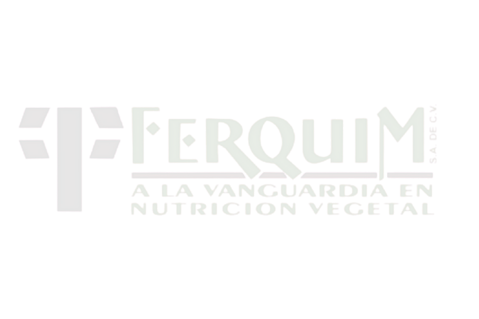 ferquim logo blanco 2025.png