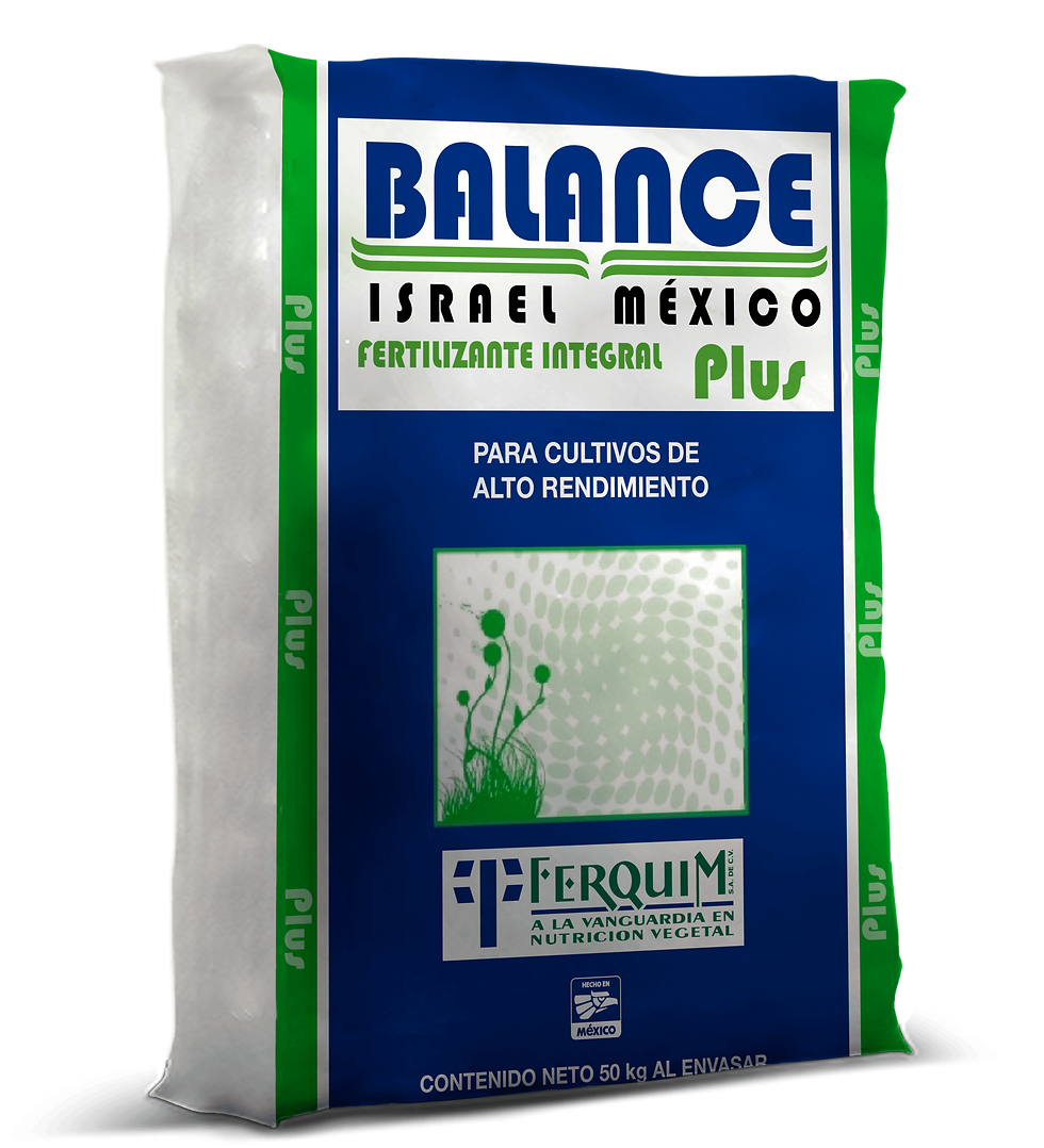 Balance Plus (4) (1) (2).png