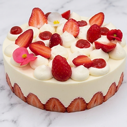 fraisier.png