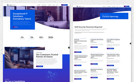 Carson Solutions-min.png