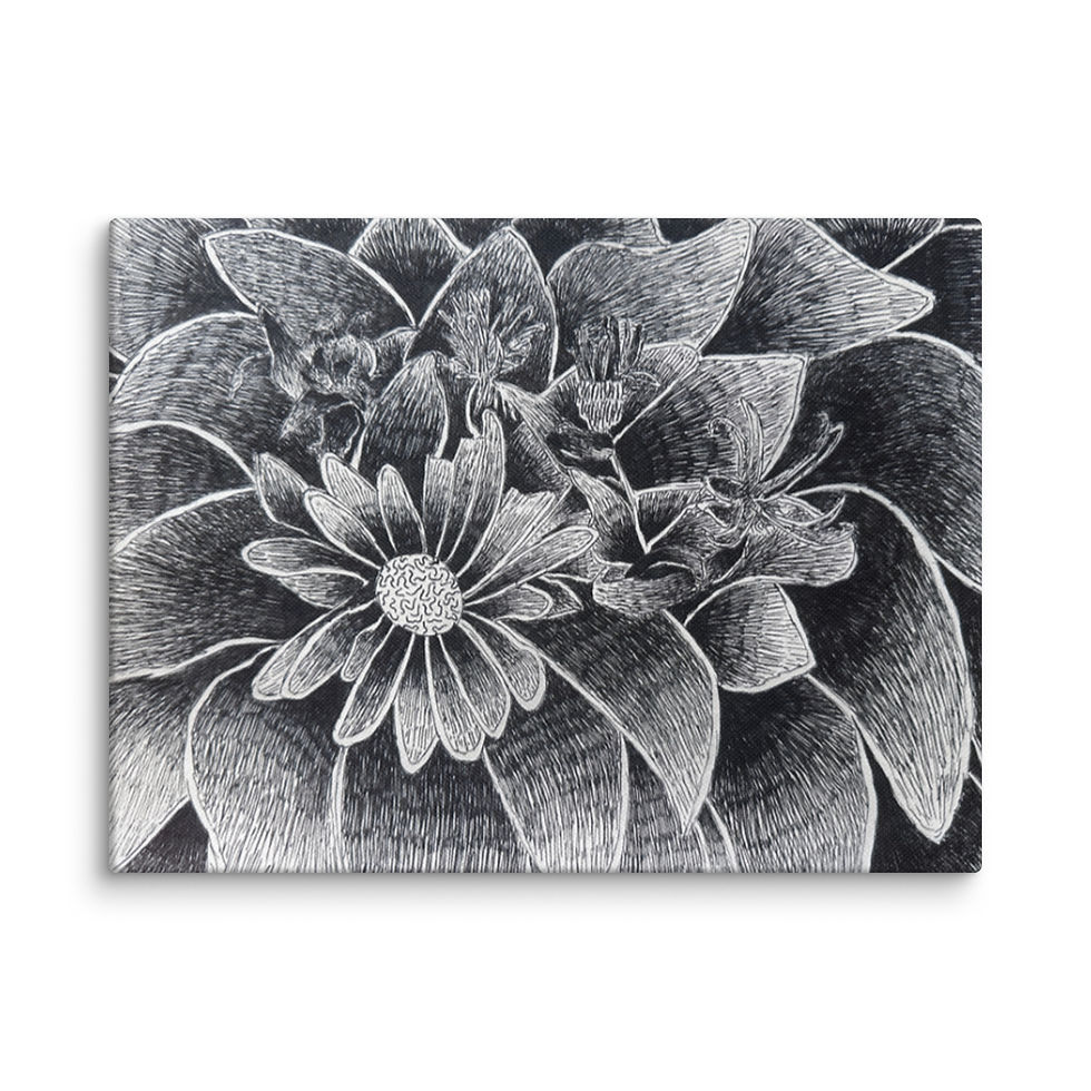 Thumbnail: Wildflower In The Shadows Canvas Print
