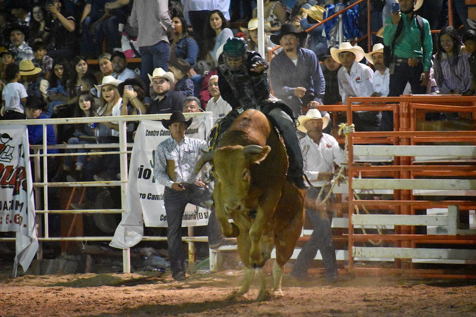 rodeophotography