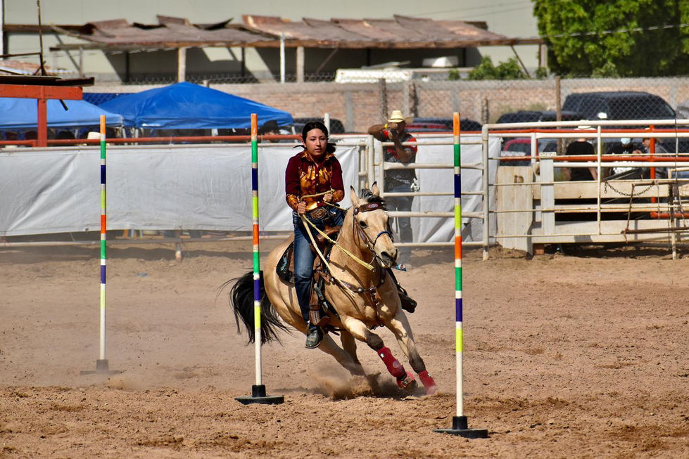 rodeophotography