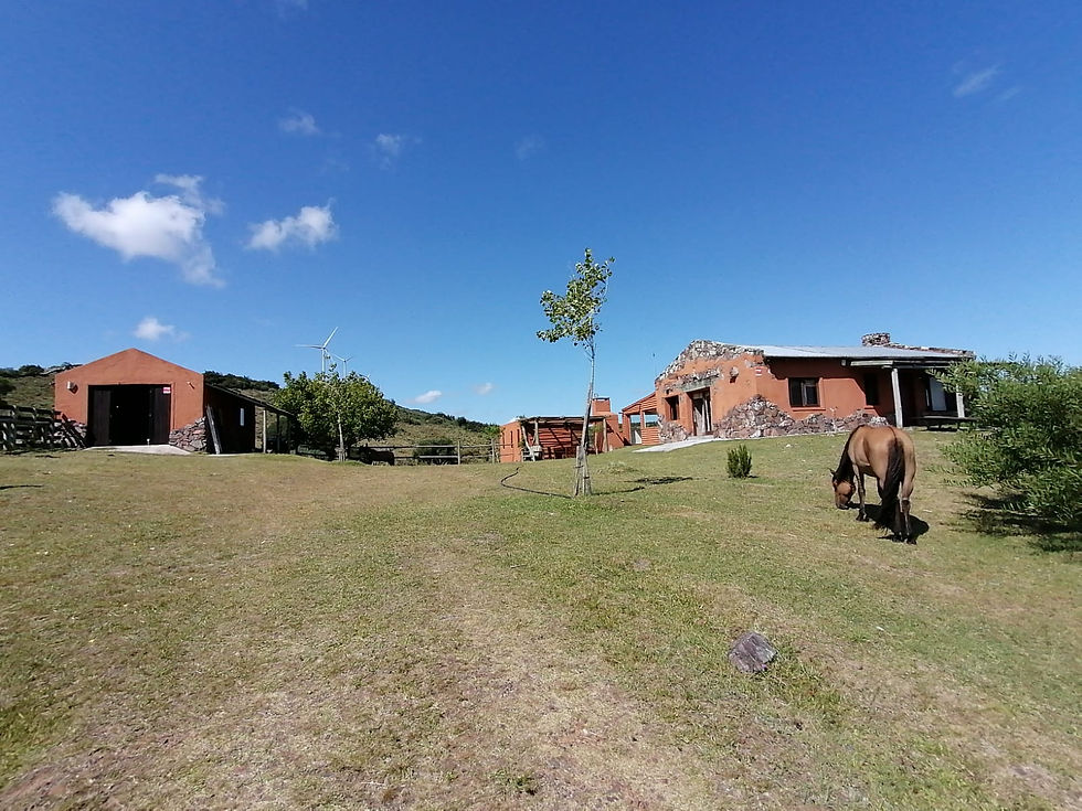 Miniatura: CHACRA 16 HA CON CASA SIERRA DE LOS CARACOLES