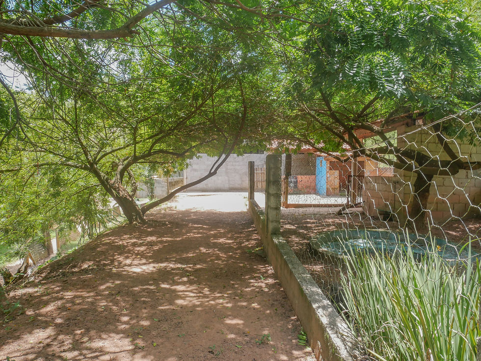 P1290340