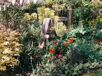 Gardens Update and Feature!